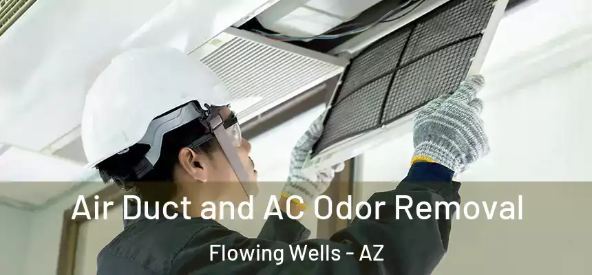  Air Duct and AC Odor Removal Flowing Wells - AZ
