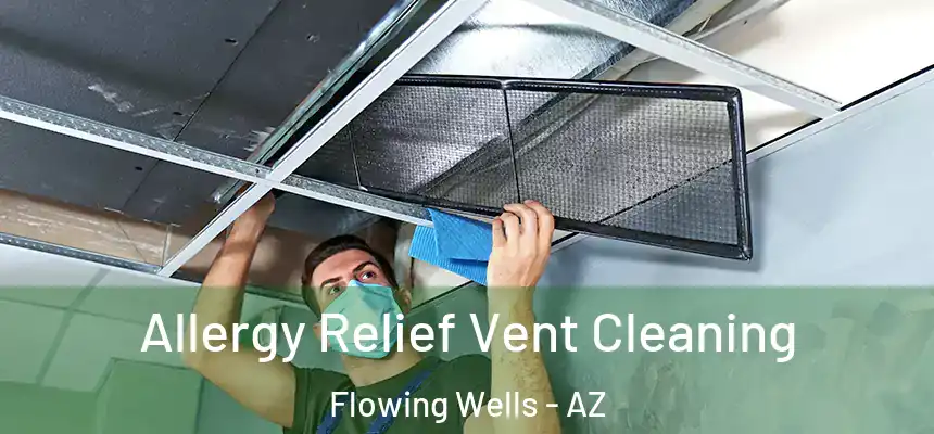  Allergy Relief Vent Cleaning Flowing Wells - AZ