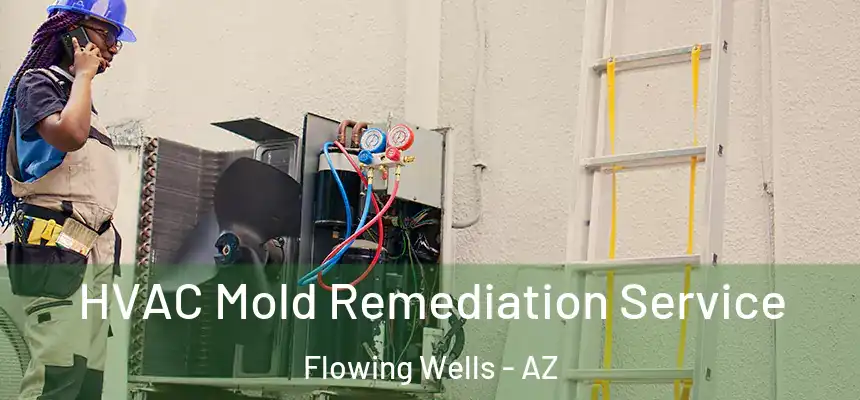  HVAC Mold Remediation Service Flowing Wells - AZ