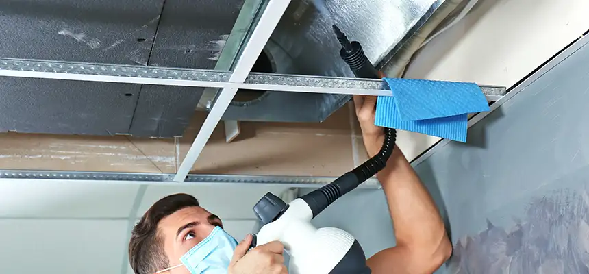 Our Air Duct Rodent Removal Services in Flowing Wells, AZ