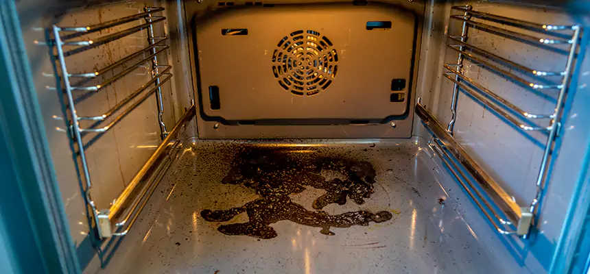 Our Dryer Vent Mold Cleaning Services in Flowing Wells, AZ