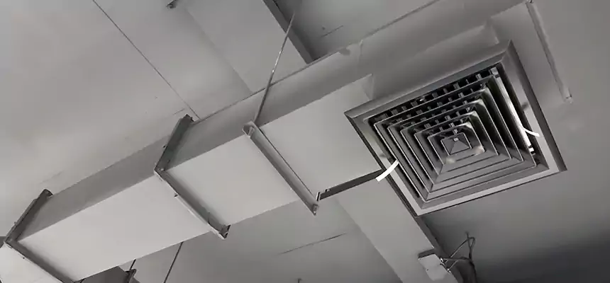 Our Rodent Droppings In Vents Services in Flowing Wells, AZ