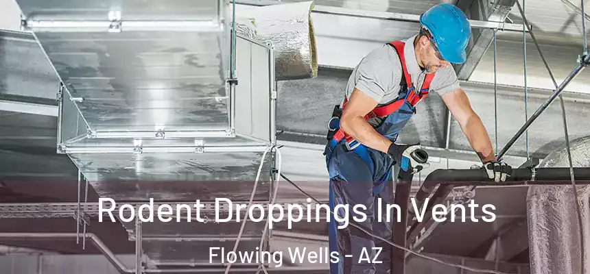  Rodent Droppings In Vents Flowing Wells - AZ