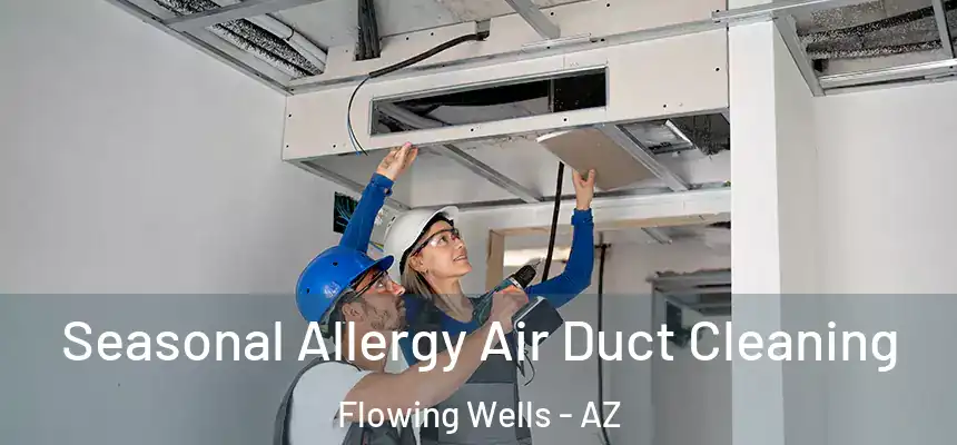  Seasonal Allergy Air Duct Cleaning Flowing Wells - AZ