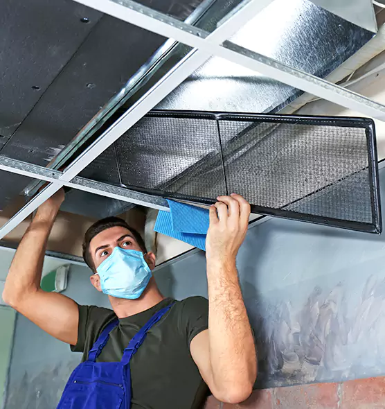 About Air Duct Bacteria Removal in Flowing Wells
