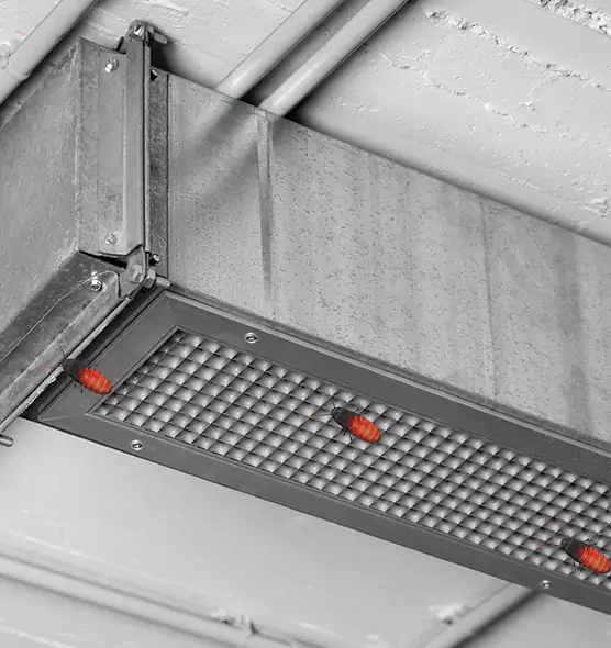 About Air Duct Cockroach Removal in Flowing Wells, AZ