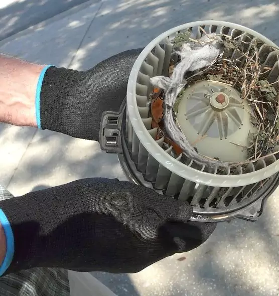 About Air Duct Mice Removal in Flowing Wells, AZ