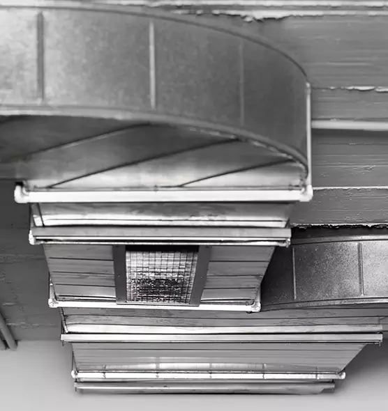 Professional Air Duct Pest Removal in Flowing Wells, AZ