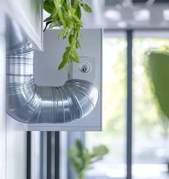 Professional Eco-Safe Dryer Vent Cleaning in Flowing Wells, AZ