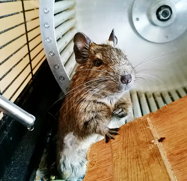 Why Homeowners & Businesses Trust Us Flowing Wells, AZ?